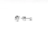 14K White Gold 0.20cttw Princess Cut Canadian Diamond Earrings