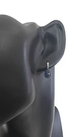 10K White Gold 0.73cttw Sapphire and 0.06cttw Diamond Halo Lever Back Earrings