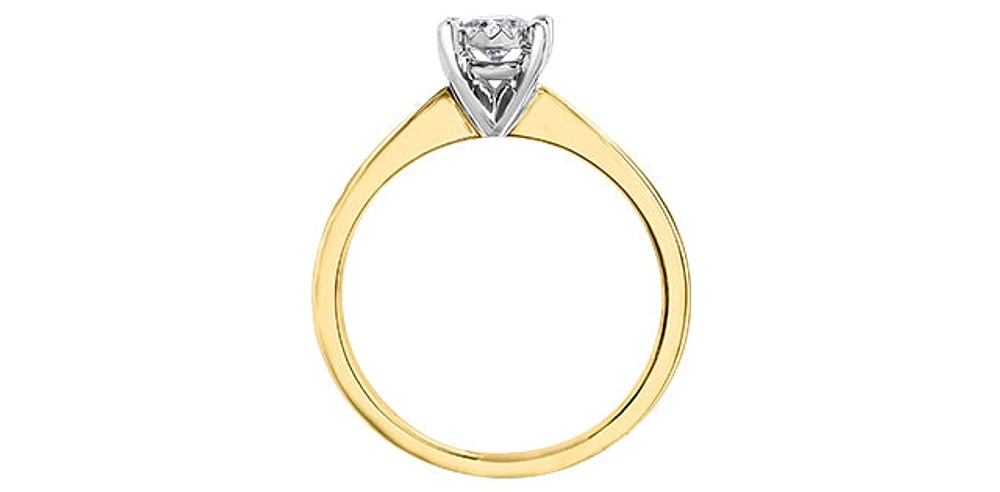 10K Yellow Gold 0.25cttw Round Brilliant Cut Diamond Engagement Ring, 6.5 - / White