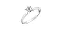 10K  White Gold 0.30cttw Diamond Engagement Ring - /
