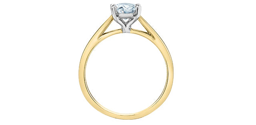 14K Lab Grown 1.00cttw Oval Shape Four Claw Diamond Ring - Gold / 4