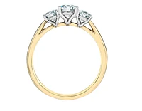 14K Lab Grown 3 Stone Round Brilliant Diamond Ring - Gold / Carat Total