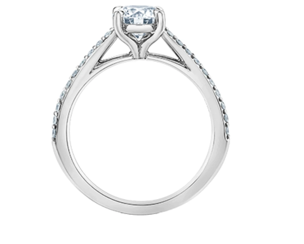 14K Lab Grown Round Brilliant Solitaire and Diamond Mount - Gold / Carat Total