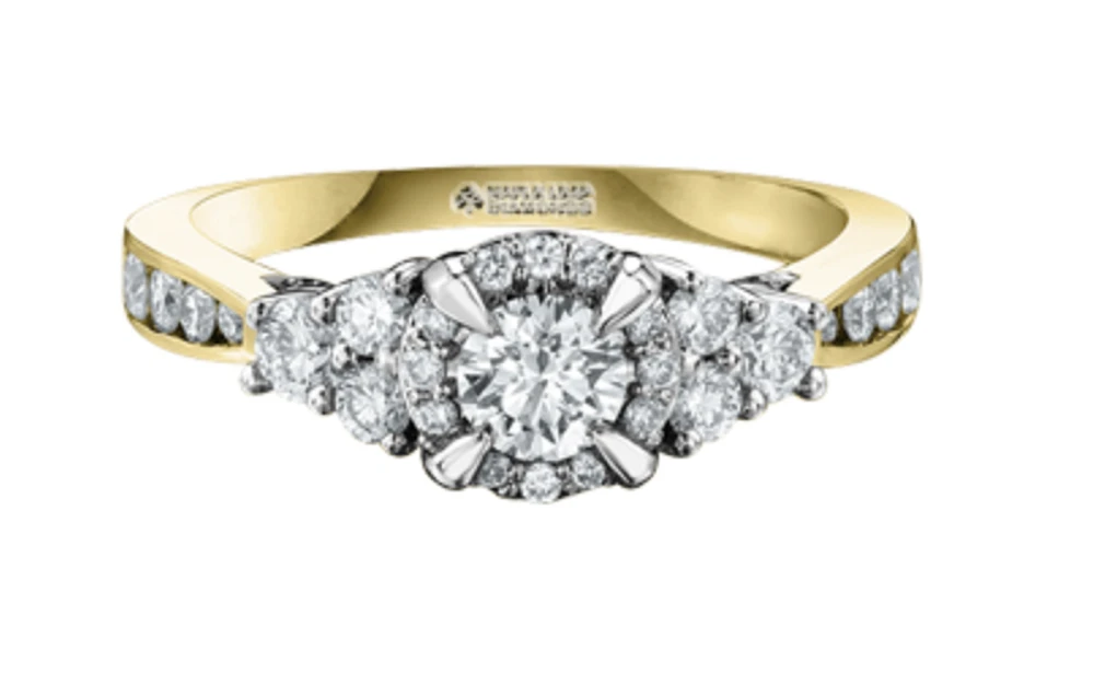 18K White Gold/Palladium Alloy (hypoallergenic) 1.00cttw Halo & Channel Set Diamond Ring - Gold /