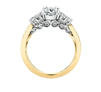 18K White Gold/Palladium Alloy (hypoallergenic) 1.00cttw Halo & Channel Set Diamond Ring - Gold /