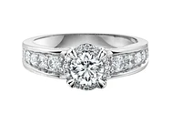 18K White Gold/Palladium Alloy (hypoallergenic) Halo & Channel Set Diamond Ring - Gold /