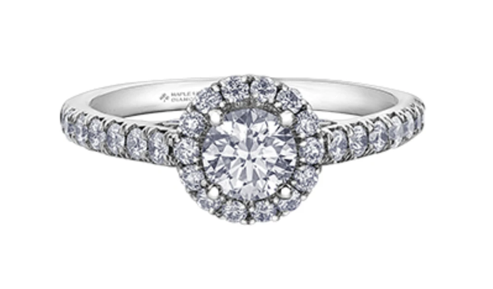 18K White Gold/Palladium Alloy (hypoallergenic) 1.00cttw Round Brilliant Halo Diamond Ring - Gold /