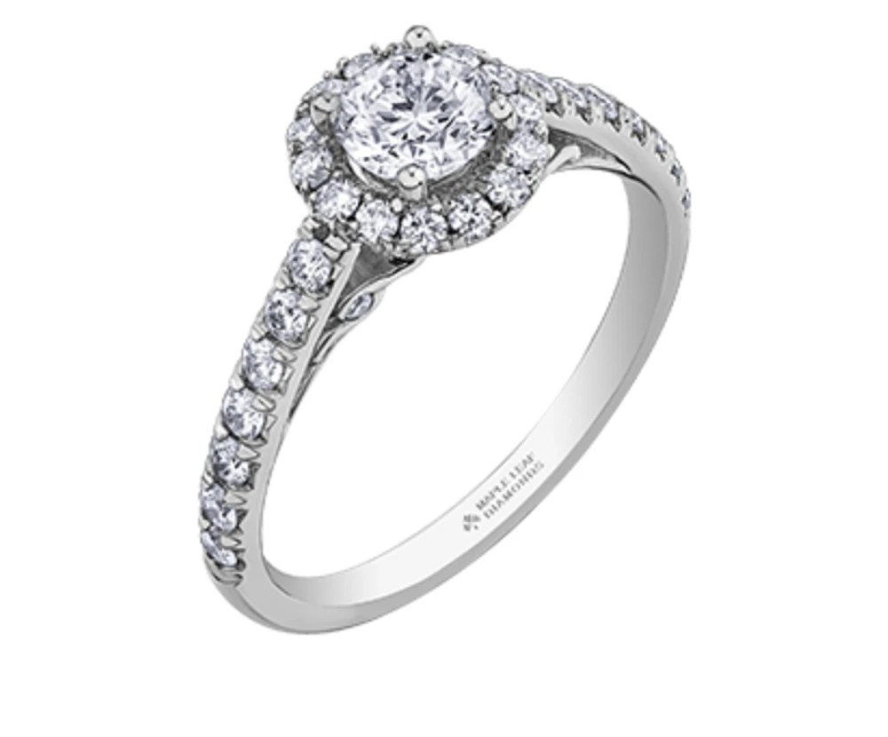 18K White Gold/Palladium Alloy (hypoallergenic) 1.00cttw Round Brilliant Halo Diamond Ring - Gold /