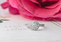 18K White Gold/Palladium Alloy(hypoallergenic) Halo Diamond Ring