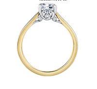 18K Yellow Gold/Palladium Alloy (hypoallergenic) Round Brilliant Solitaire Diamond Ring - Carat Total Weight / White/ Palladium