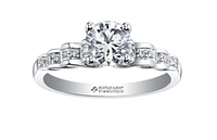 18K White Gold/Palladium Alloy (hypoallergenic) 0.75-1.15cttw Round Brilliant Multi-Stone Diamond Ring - / Carat Total