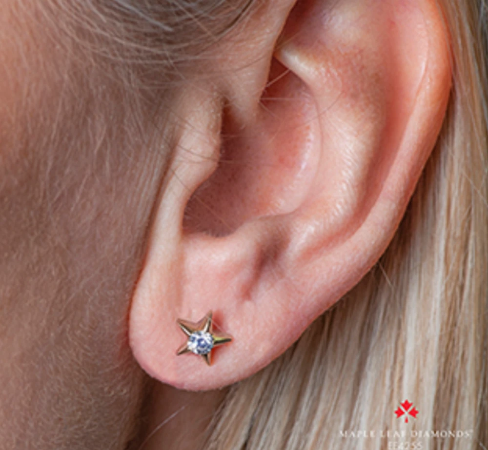 10K Yellow Gold 0.12-0.28cttw Canadian Diamond Star Stud Earrings - / Carat total