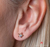 10K Yellow Gold 0.12-0.28cttw Canadian Diamond Star Stud Earrings - / Carat total