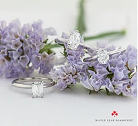 Platinum 0.50-0.70cttw Canadian Pear Shape Diamond Engagement Ring - 0.50 Carat /
