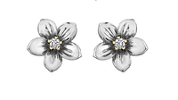 14K White & Yellow Gold 0.08cttw New Brunswick Provincial Flower Diamond Stud Earrings