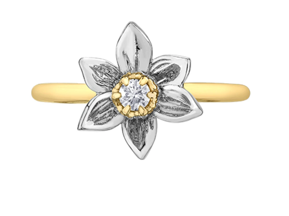 14K Yellow & White Gold 0.10cttw Manitoba Provincial Flower Diamond Ring, size 6.5