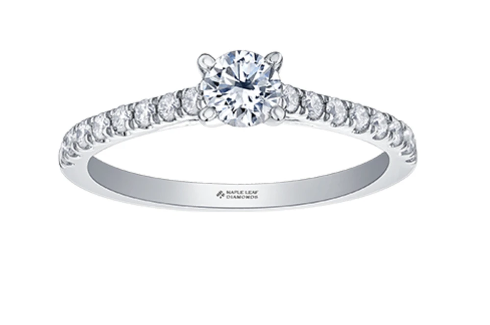 18K Yellow Gold & Palladium Alloy (hypoallergenic) 0.55-0.95cttw Canadian Diamond Engagement Ring - / Carat Total