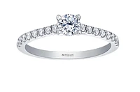 18K Yellow Gold & Palladium Alloy (hypoallergenic) 0.55-0.95cttw Canadian Diamond Engagement Ring - / Carat Total
