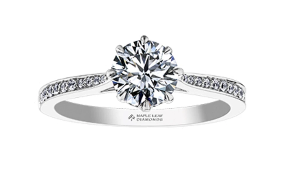18K White Gold & Palladium Alloy (hypoallergenic) 0.83-2.15ttw Canadian Diamond Engagement Ring - / 0.83 Carat Total