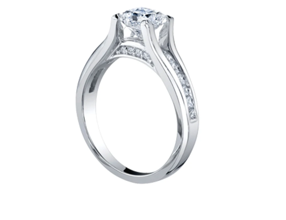 18K White Gold & Palladium Alloy (hypoallergenic) 0.65-1.50cttw Princess Cut Canadian Diamond Engagement Ring - / 0.65 Carat Total