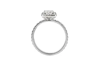 18K White Gold & Palladium Alloy (hypoallergenic) 0.71-1.61cttw Princess Cut Canadian Diamond Engagement Ring - / Carat Total