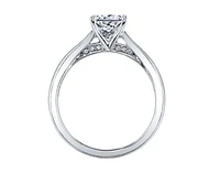 18K White Gold & Palladium Alloy (hypoallergenic) 0.53-1.03cttw Princess Cut Canadian Diamond Engagement Ring - / 0.53 Carat Weight