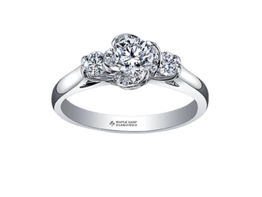 18K White Gold Palladium Alloy (hypoallergenic) 0.50-0.80cttw Round Brilliant 3 Stone Canadian Diamond Engagement Ring - / 0.50 Carat Total