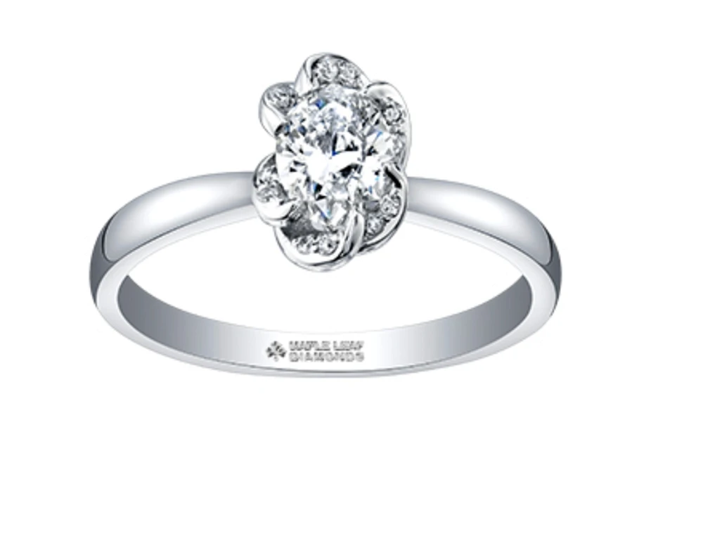 18K White Gold Palladium Alloy (hypoallergenic) 0.33-0.55cttw Oval Cut Canadian Diamond Engagement Ring - / 0.33 Carat Total