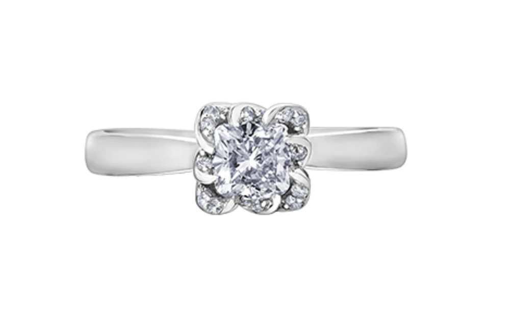 18K White Gold Palladium Alloy (hypoallergenic) 0.33-1.08cttw Cushion Cut Canadian Diamond Engagement Ring - / 0.33 Carat Total