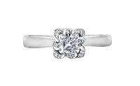 18K White Gold Palladium Alloy (hypoallergenic) 0.33-1.08cttw Cushion Cut Canadian Diamond Engagement Ring - / 0.33 Carat Total