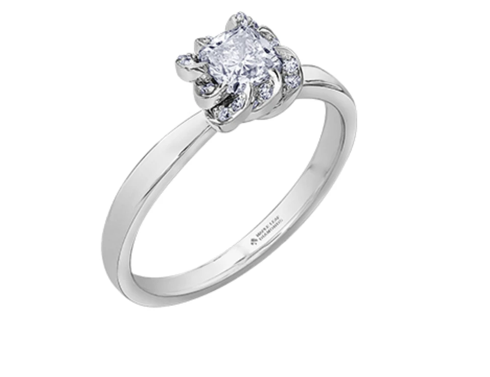 18K White Gold Palladium Alloy (hypoallergenic) 0.33-1.08cttw Cushion Cut Canadian Diamond Engagement Ring - / 0.33 Carat Total
