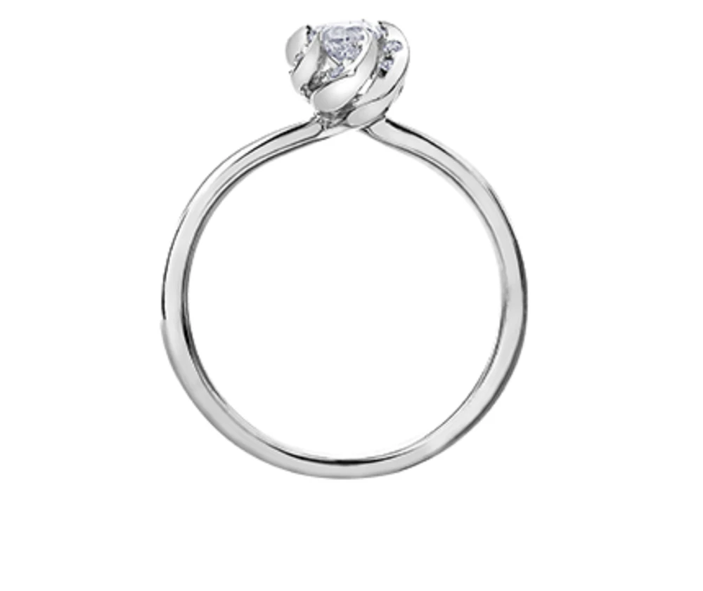 18K White Gold Palladium Alloy (hypoallergenic) 0.56cttw Marquise Shape Canadian Diamond Engagement Ring - /