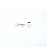 14K Yellow Gold 5.5-6.0mm Cultured Pearl Earrings with Butterfly Backs