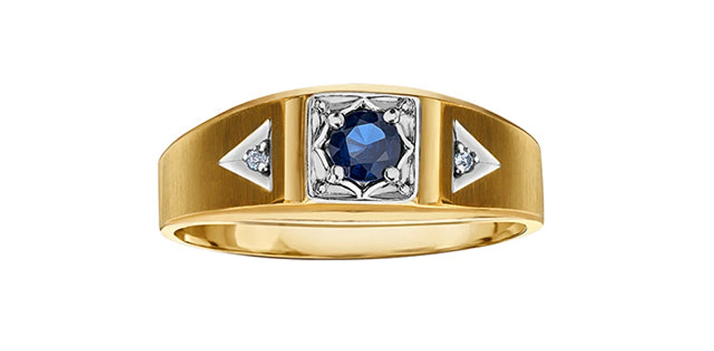 10K Yellow Gold 4mm Genuine Sapphire and 0.016cttw Diamond Ring - Size 10