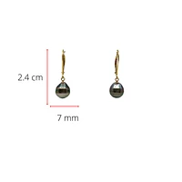 14K Gold Tahitian Pearl Earrings with Lever Backs