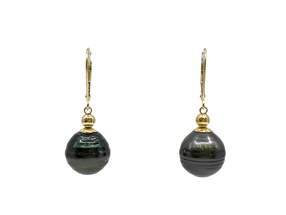 14K Yellow Gold 12mm Tahitian Pearl Earrings with Lever Backs