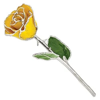 Lacquer Dipped Silver Trimmed Real Rose