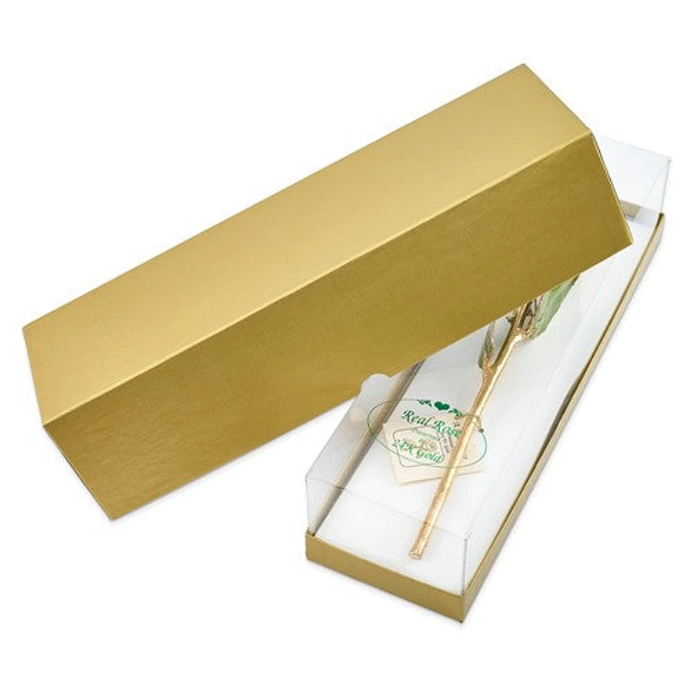 24K Lacquer Dipped Gold Trimmed Geo Green Real Rose