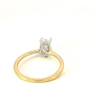 14K Oval Cut Hidden Halo Diamond Ring - Mount Only (No centre diamond) / Gold