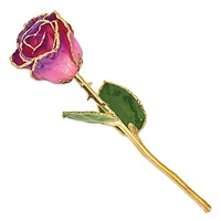 24K Lacquer Dipped Gold Trimmed Amethyst Real Rose