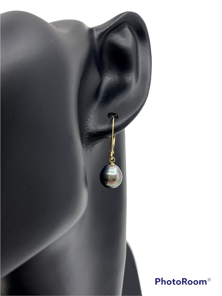 14K Gold Tahitian Pearl Earrings with Lever Backs