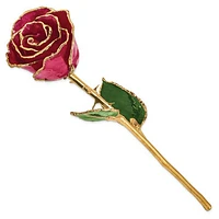 24K Lacquer Dipped Gold Trimmed Ruby Sun Real Rose