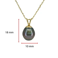 10/14K Yellow Gold Tahitian Pearl Pendant