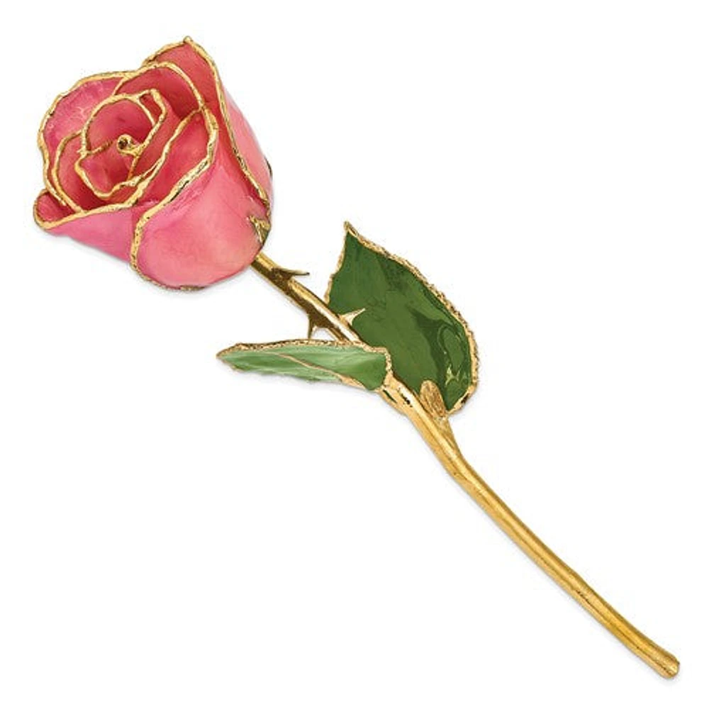 24K Lacquer Dipped Gold Trimmed Real Rose