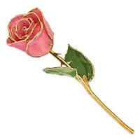 24K Lacquer Dipped Gold Trimmed Real Rose