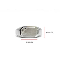 10K White Gold 0.007cttw Diamond Signet Ring - /