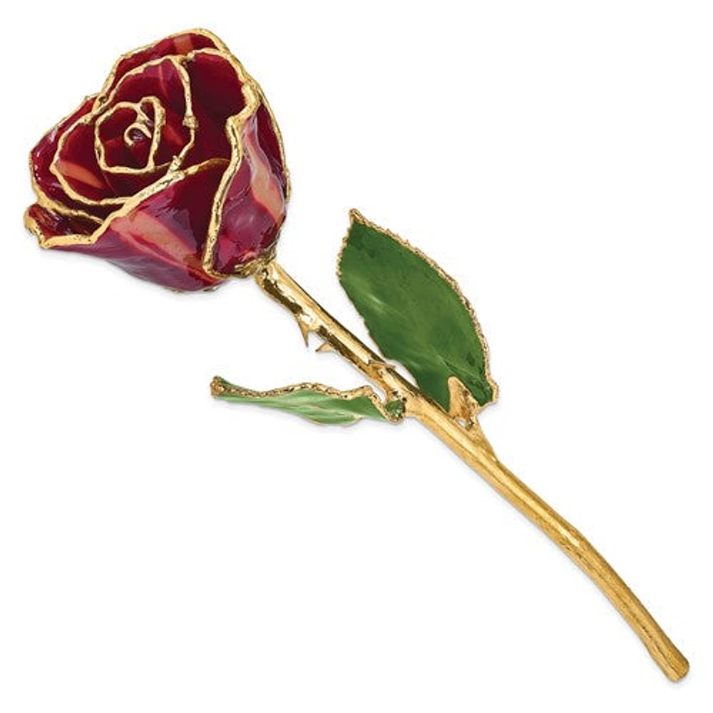24K Lacquer Dipped Gold Trimmed Abracadabra Real Rose