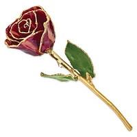 24K Lacquer Dipped Gold Trimmed Abracadabra Real Rose