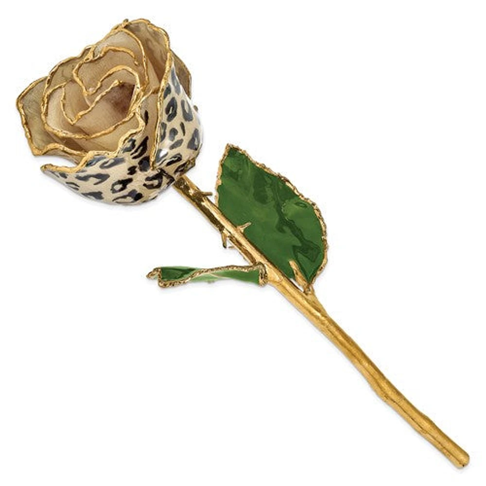 24K Lacquer Dipped 24k Gold Trimmed Cream/Black Leopard Real Rose