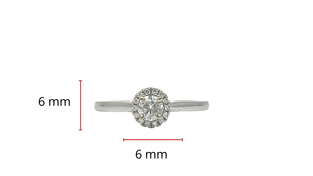 18K White Gold 0.31cttw Round Brilliant Cut Diamond Halo Engagement Ring, size 6.5